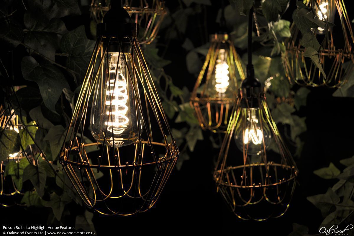 Edison Bulbs | Oakwood Events Edison Bulbs | Oakwood Events