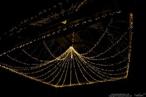 Denbies Wine Estate Fairy Light Canopy