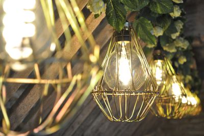 Edison Bulb Manger Lighting