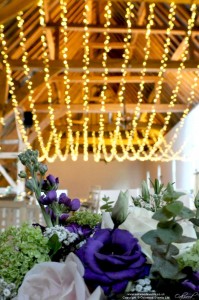 Fairy Light Canopy at Ufton Court