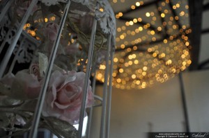 Fairy Lights at Nether Winchendon House