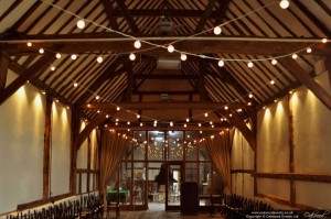 Festoon Lights at Bix Manor