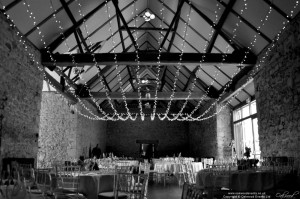 Notley Abbey Large Fairy Light Canopy