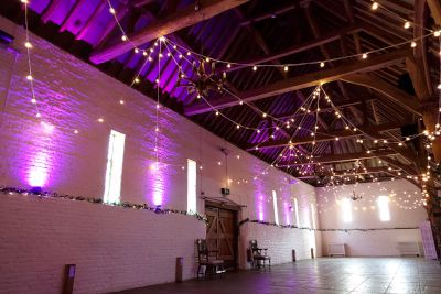 Ufton Court Festoon Loops and Pink Uplighting