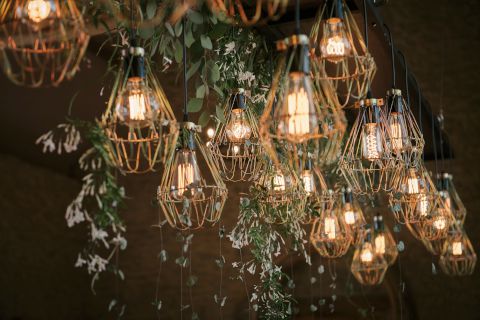 Edison Bulbs hire