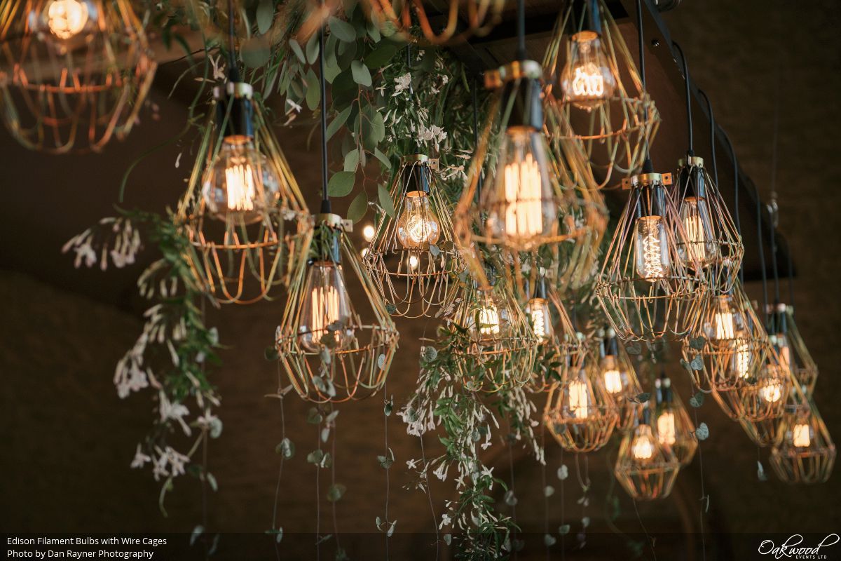 Edison Bulbs Oakwood Events Edison Filament Bulbs With Wire Cages