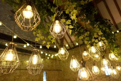 Greenery with Edison Bulbs