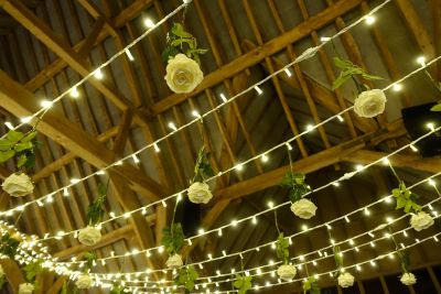 Hanging Silk Roses