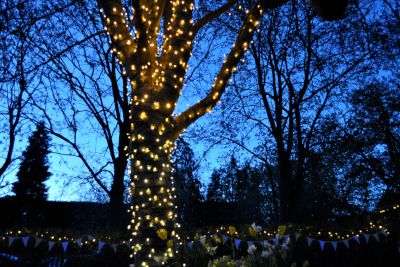 Monks Barn Outdoor Lighting